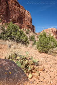 Escalante River Canyon