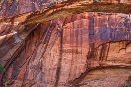 Escalante River Canyon
