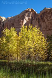 Lower Calf Creek Falls
