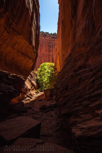 Capital Reef National Park