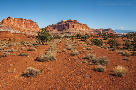 Capital Reef National Park