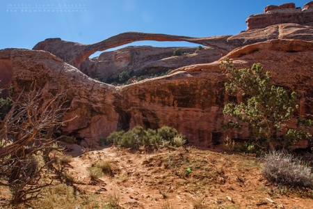 Arches National Park