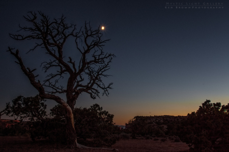 Arches National Park