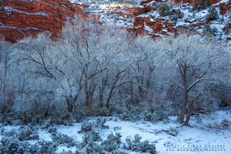 Horseshoe Canyon