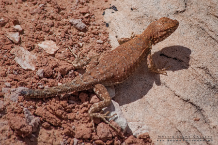 Sandblasted In Arches