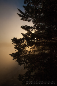 Grand Teton National Park