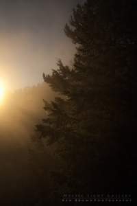 Grand Teton National Park