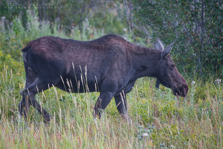 Grand Teton National Park
