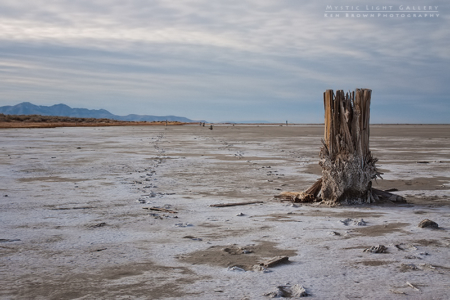 The Tombstones Of Saltair