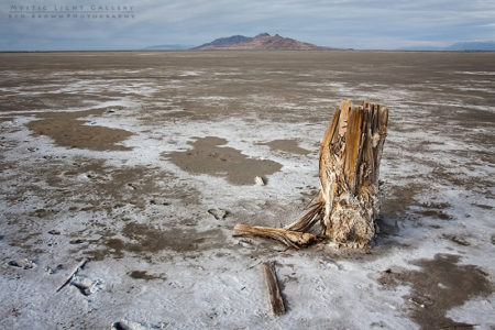 The Tombstones Of Saltair