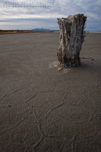 The Tombstones Of Saltair