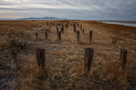 The Tombstones Of Saltair