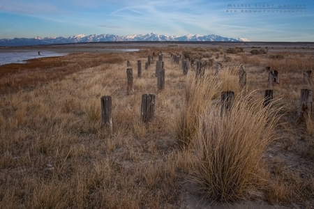 The Tombstones Of Saltair
