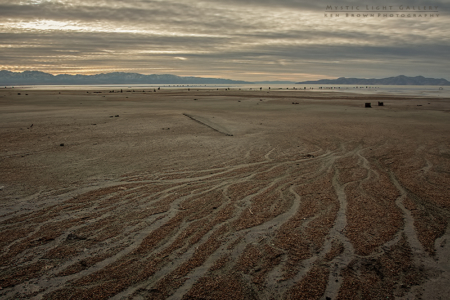 The Tombstones Of Saltair