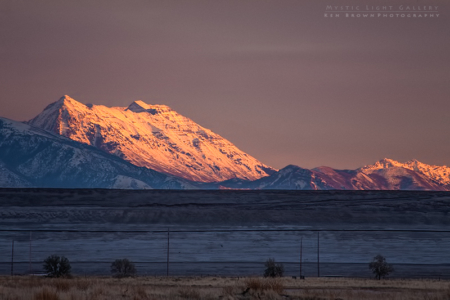 The Tombstones Of Saltair