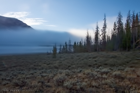 Morning In The Windies