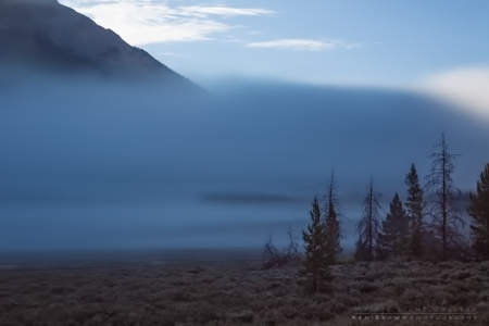 Morning In The Windies