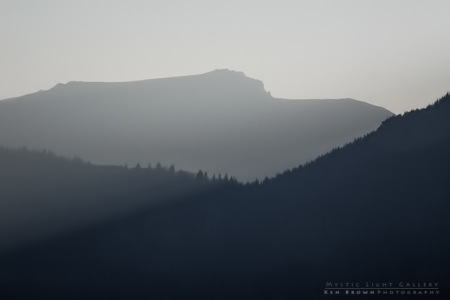 Morning Comes Streaming In