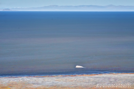Great Salt Lake Abstract