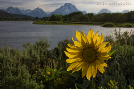 Evening On The Snake River
