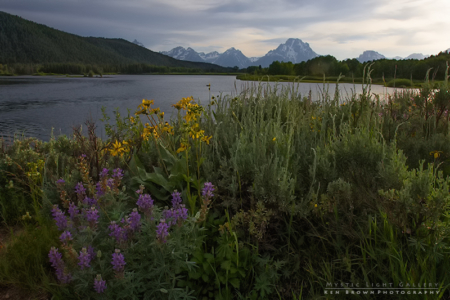Evening On The Snake River