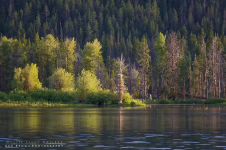 Evening On The Snake River