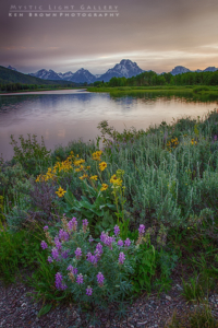 Evening On The Snake River