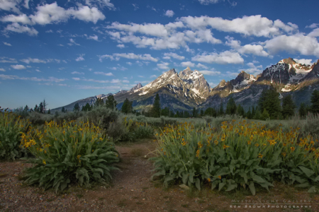 Grand Teton National Park
