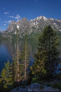 Jenny Lake