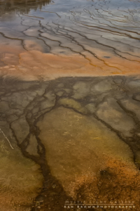Yellowstone Geothermal