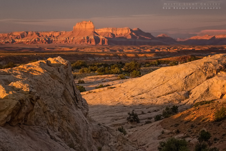 Into The Heart Of The Swell