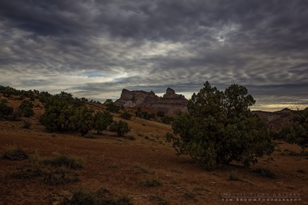 Into The Heart Of The Swell