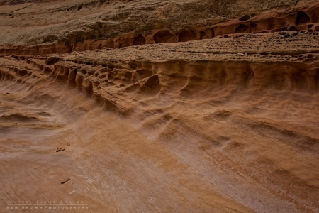 Into The Heart Of The Swell