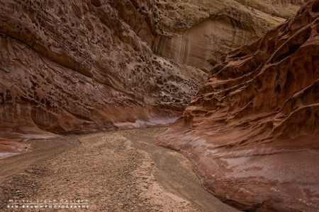 Into The Heart Of The Swell