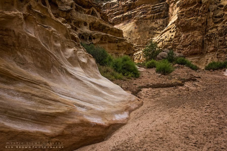 Into The Heart Of The Swell
