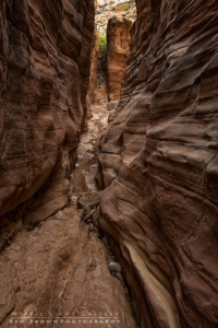 Into The Heart Of The Swell