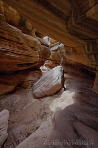 Into The Heart Of The Swell