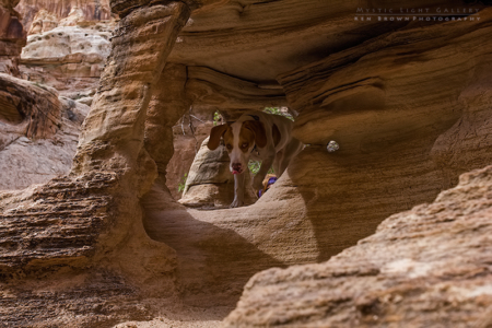 Into The Heart Of The Swell