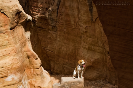 Into The Heart Of The Swell