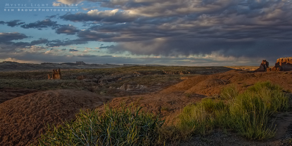 Into The Heart Of The Swell