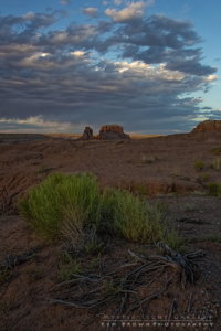 Into The Heart Of The Swell