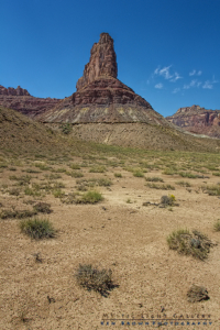 Into The Heart Of The Swell