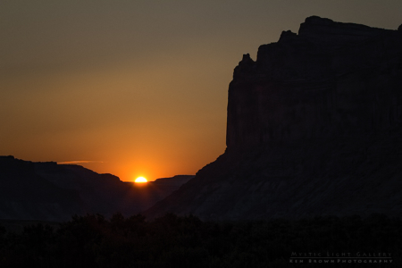 Into The Heart Of The Swell
