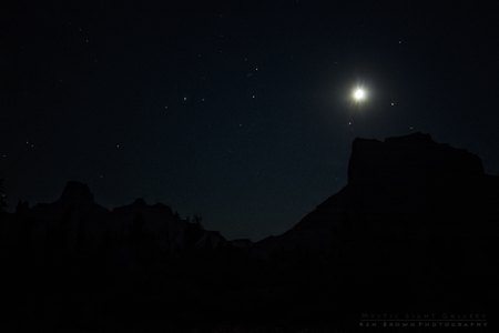 Into The Heart Of The Swell