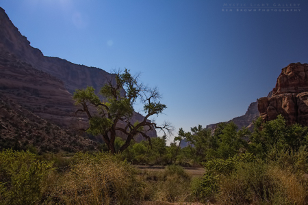 Into The Heart Of The Swell