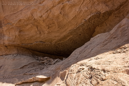 Into The Heart Of The Swell
