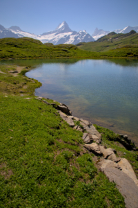 Bachalpsee