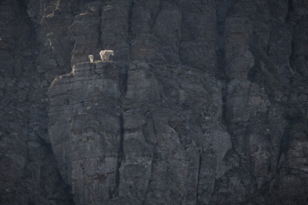 Glacier National Park, MT