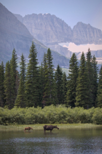 Glacier National Park, MT