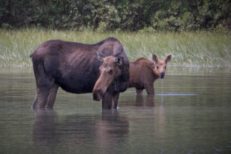 Glacier National Park, MT